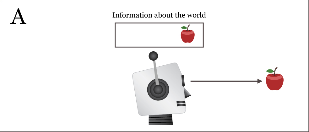 Graziano's robot, Box A