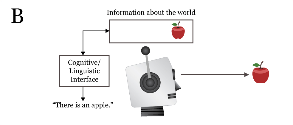 Graziano's robot, Box B