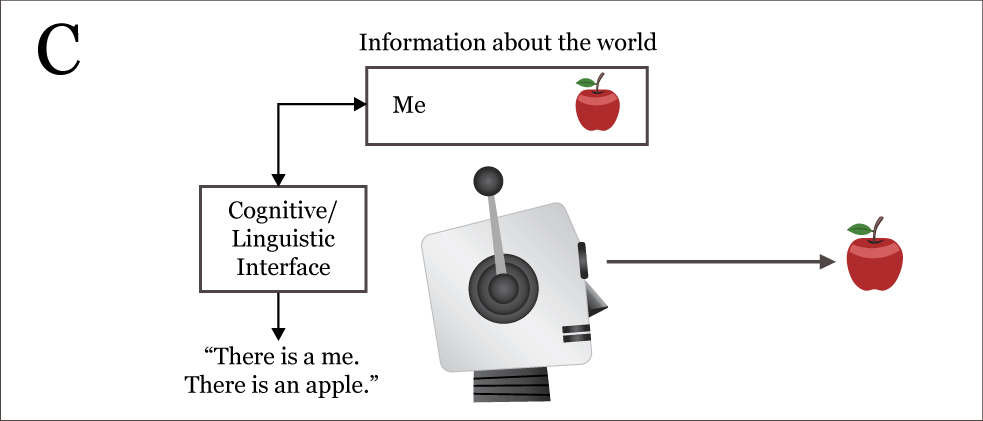 Graziano's robot, Box C