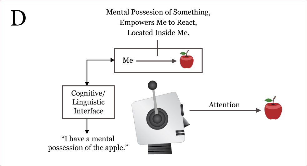 Graziano's robot, Box D
