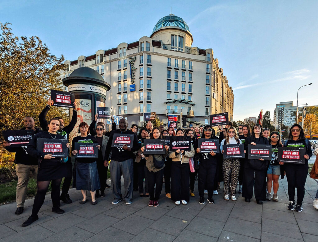 Activists protest a Radisson hotel after the company initially failed to meet its commitment to phase out eggs from caged hens. Photo courtesy of the Open Wing Alliance