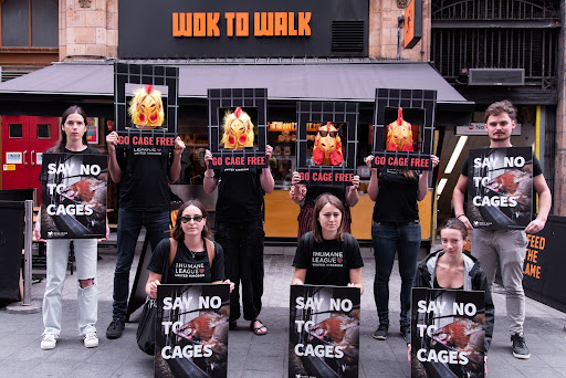 Protesters holding signs that say "GO CAGE FREE" and "SAY NO TO CAGES" outside a building labelled "Wok to Walk"